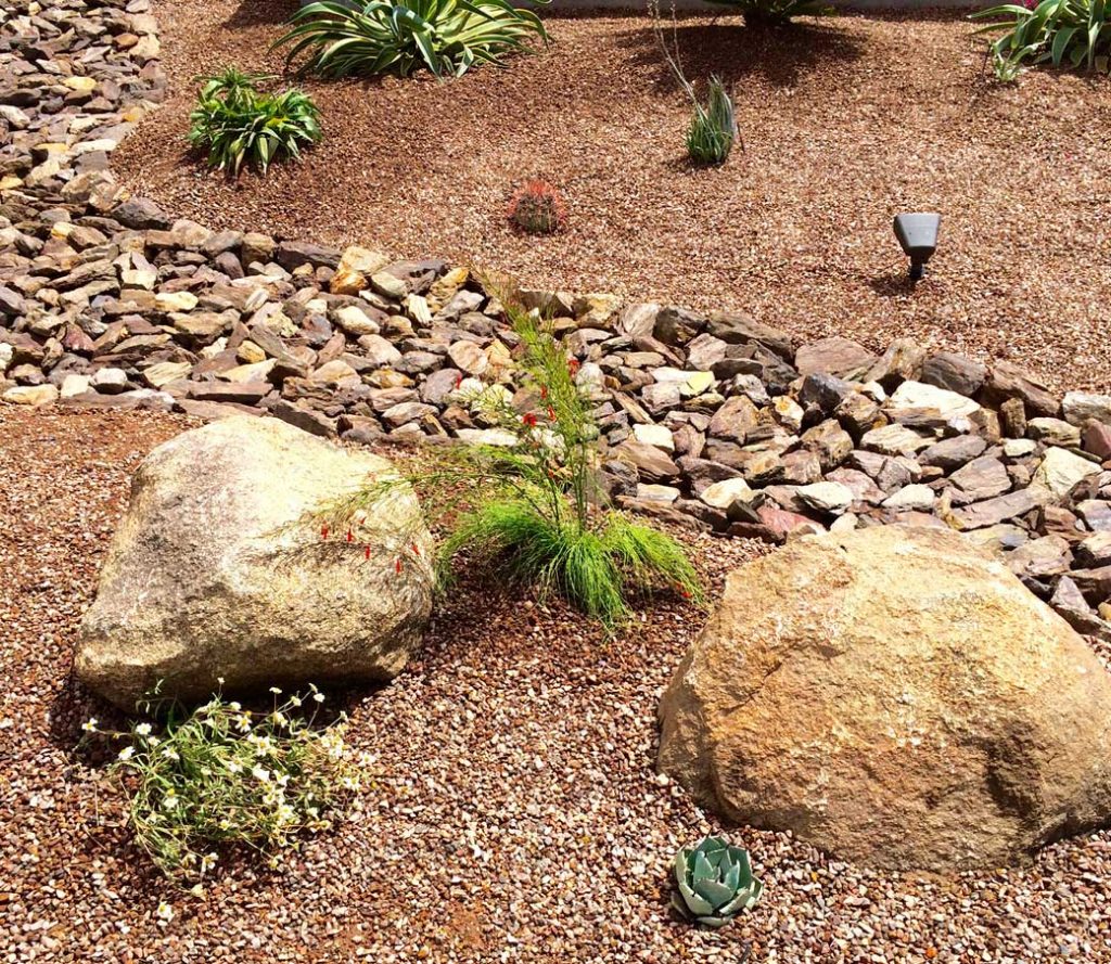59-Stone,-Rocks-and-Plants