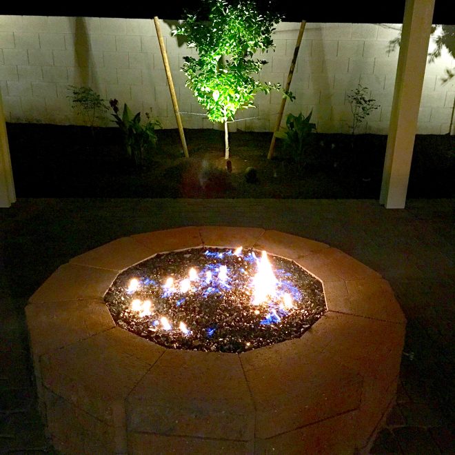 Fire Pit and Tree